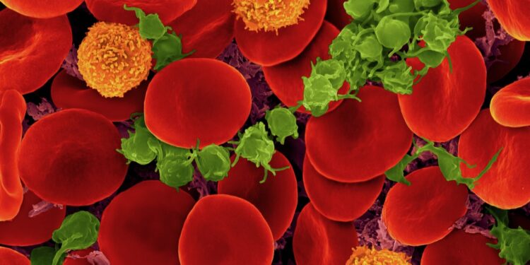 Scientists Find a Surprising Way to Transform A and B Blood Types Into Universal Blood