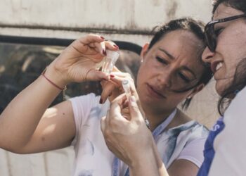 Dengue and severe dengue