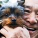 What dogs teach us about aging