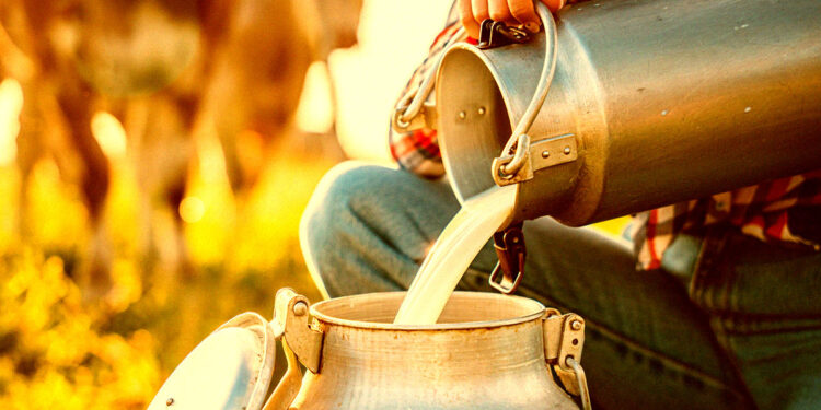 Raw Milk Enthusiasts Demand Milk Infected With H5N1