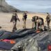 Migrants caught on Calais beach trying to cross English Channel – Sky News