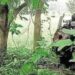 Latest News, Live Updates Today June 8, 2024: 7 Maoists shot dead, 3 jawans insured in Chhattisgarh encounter