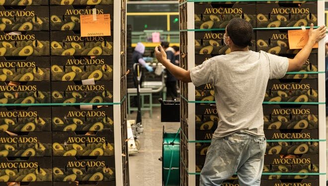 Mexican cartels diversify business with fuel, tortillas and piso