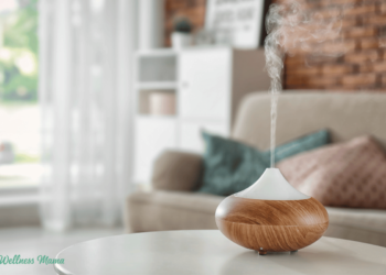 Best Essential Oil Diffusers for Aromatherapy