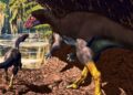 Clues hint newly discovered dinosaur lived underground