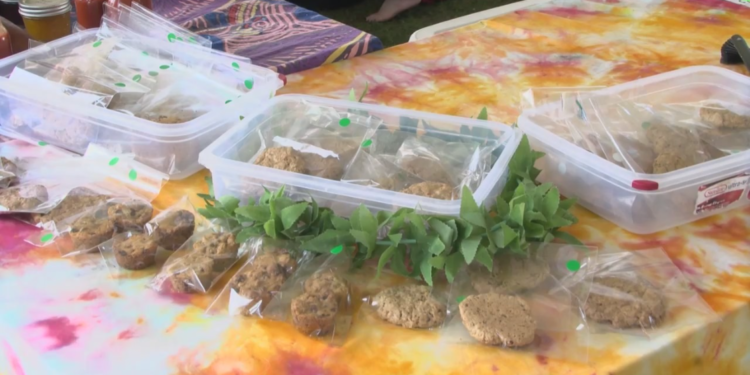 Hundreds flock to Pocono Canna World Fair