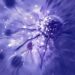 Scientists Discover New Way To Effectively Treat Cancer