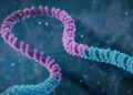 Scientists Say New Gene Editing Tool Is Like a ‘Word Processor’ for DNA