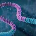 Scientists Say New Gene Editing Tool Is Like a ‘Word Processor’ for DNA