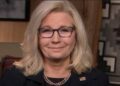 Liz Cheney Drops A Bombshell By Endorsing Kamala Harris