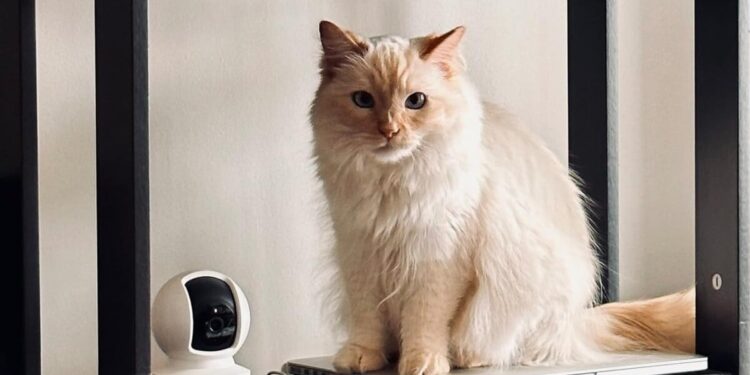 Best home security deal: Save up to 45% on systems from eufy, SimpliSafe, and Kasa