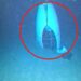 New Photo Shows Wrecked Titanic Sub on Ocean Floor