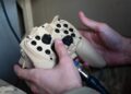 This Video Game Controller Has Become the US Military’s Weapon of Choice
