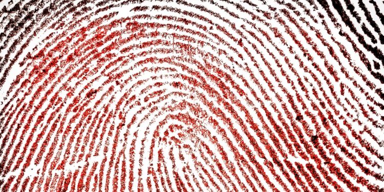 This AI Tool Helped Convict People of Murder. Then Someone Took a Closer Look