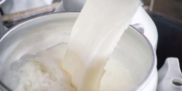 Will Trump and RFK Jr. Legalize Raw Milk?