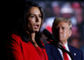 Aides reveal gullible Tulsi Gabbard fell for Russian propaganda