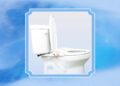 Tushy Wave Bidet Review: Tested by a First-Time Bidet-User