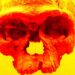 Scientists Say Skeletons Show Ancient Humans With Huge Heads