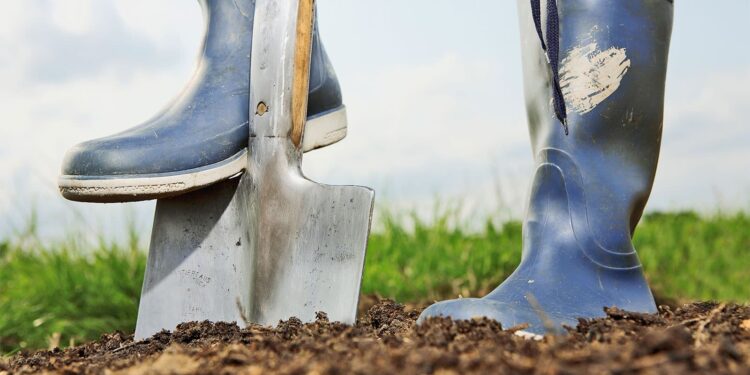 Dirt plays a big role in the spread of antibiotic resistance