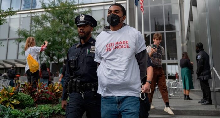 Citi and BofA exit UN-backed global climate pact