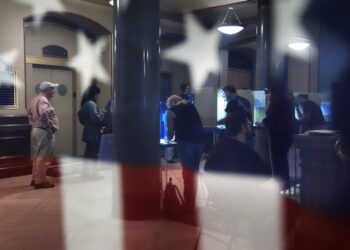 The imaginary scourge of noncitizen voting