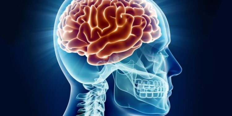 Scientists Discover Promising Molecule That Restores Cognitive Function in Early Alzheimer’s