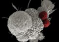 Scientists Say They’ve Discovered How Cancer Hijacks and Corrupts Immune Cells