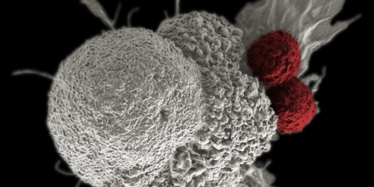 Scientists Say They’ve Discovered How Cancer Hijacks and Corrupts Immune Cells