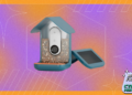 Black Friday Bird Buddy deal: Score the smart bird feeder for $80 off