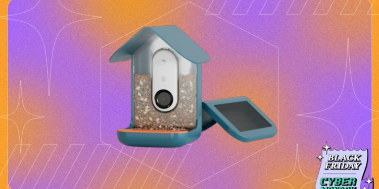 Black Friday Bird Buddy deal: Score the smart bird feeder for $80 off