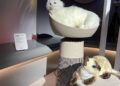 CES 2025: LG’s air-purifying cat tower is purrfect for pet owners
