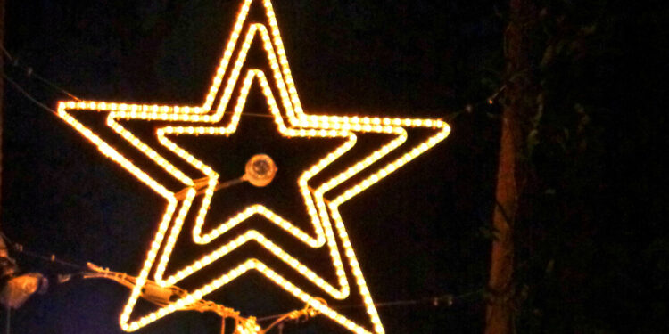 Organic solar cells could be best for space missions