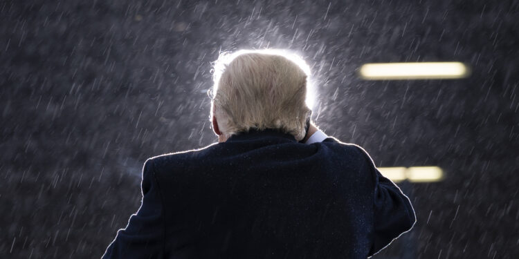 What should Democrats do as Trump runs amok?