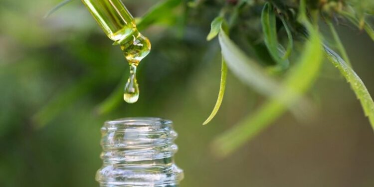 New Study Challenges Beliefs About CBD in Pregnancy, Reveals Unexpected Risks