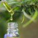 New Study Challenges Beliefs About CBD in Pregnancy, Reveals Unexpected Risks