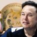Will Elon Musk cut as much government as Al Gore did?