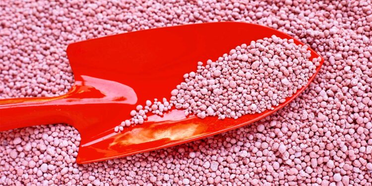 High-tech fertilizers come with a hidden downside