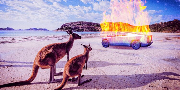 Tesla Sees Catastrophic Sales Decline in Australia