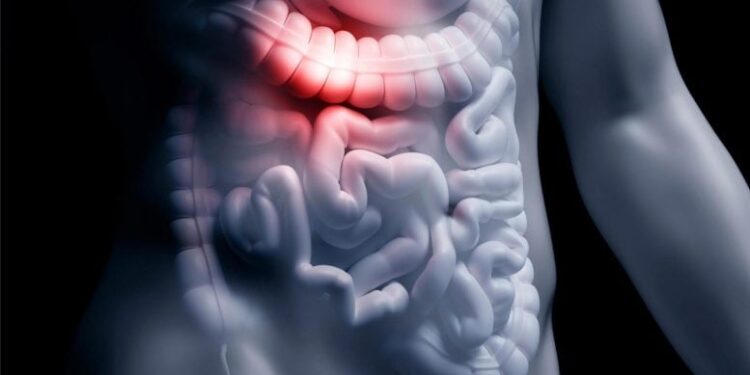 A High-Fiber Diet Could Save Your Life, According to New Study