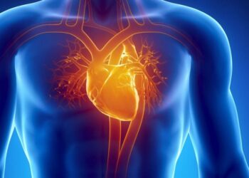 New Study Shakes Up Heart Disease Theory: High Cholesterol May Not Mean High Risk