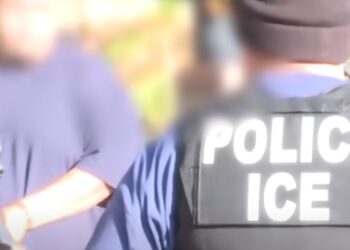 Poll: Immigration Policies Have Improved Under Trump