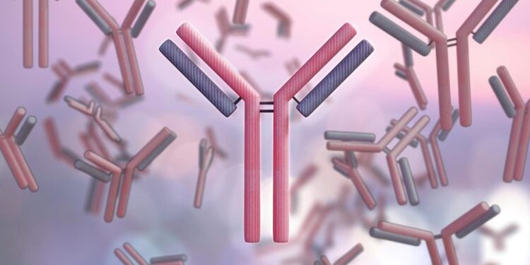 Supercharged Antibodies: Scientists Engineer Potent New Weapon Against Cancer