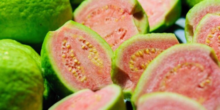 According to Scientists, These Bioactive Plants Have Anti-Cancer Properties