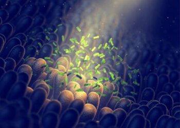 New Treatment Repairs Gut and Tames Aging Cells