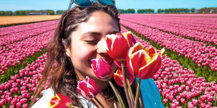 1 region of the brain links all your senses