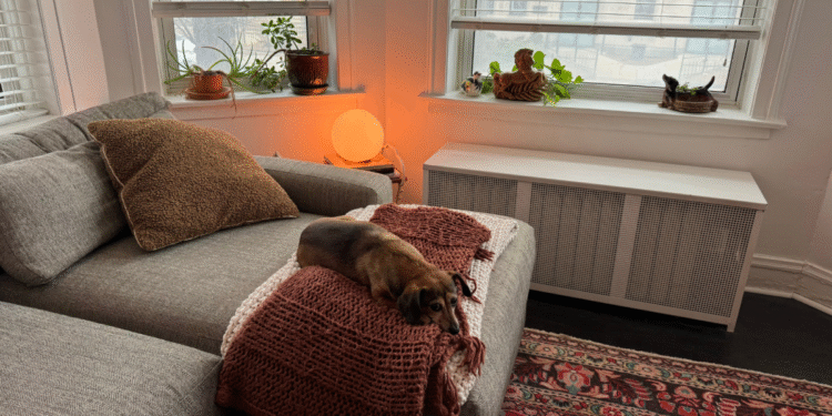 Amazon Big Spring Sale: My favorite smart bulbs have never been cheaper