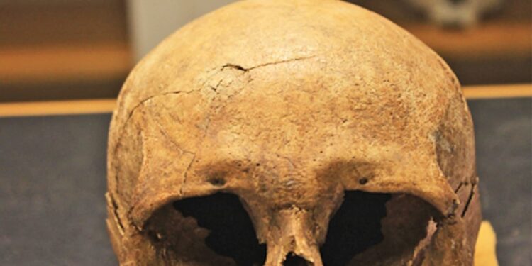 Listen: Bones reveal surprising differences among Vikings