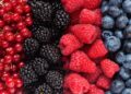 Eating 3 Servings of Berries a Day Could Boost Healthy Aging, Study Reveals