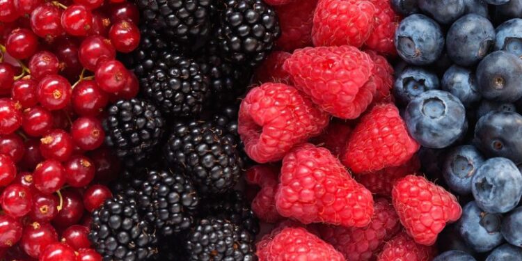 Eating 3 Servings of Berries a Day Could Boost Healthy Aging, Study Reveals