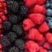 Eating 3 Servings of Berries a Day Could Boost Healthy Aging, Study Reveals